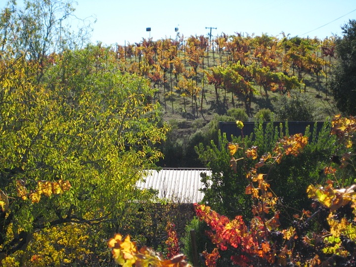 Photos of Ridge Winery in Cupertino on Montebello Road